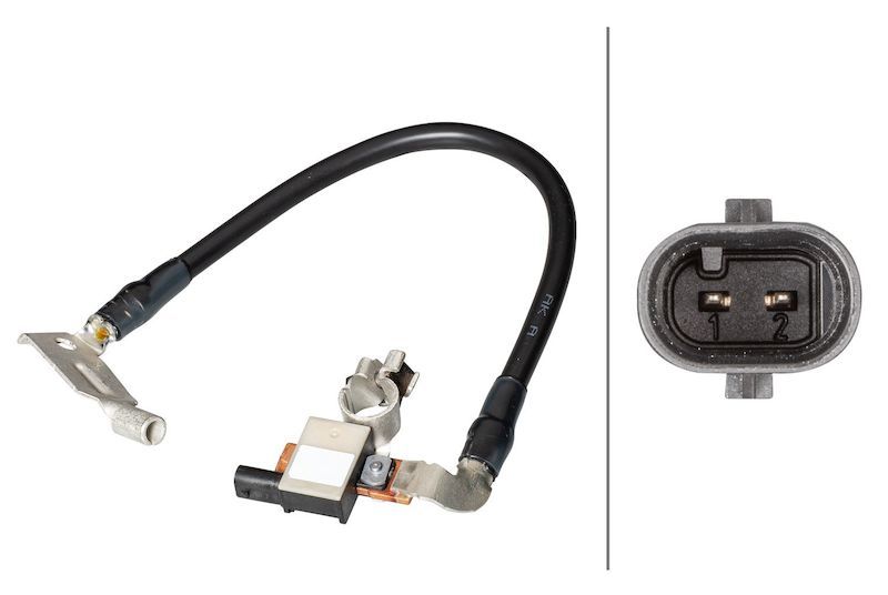 2017, 2016 BMW X1 Intelligent Battery Sensor (IBS)
