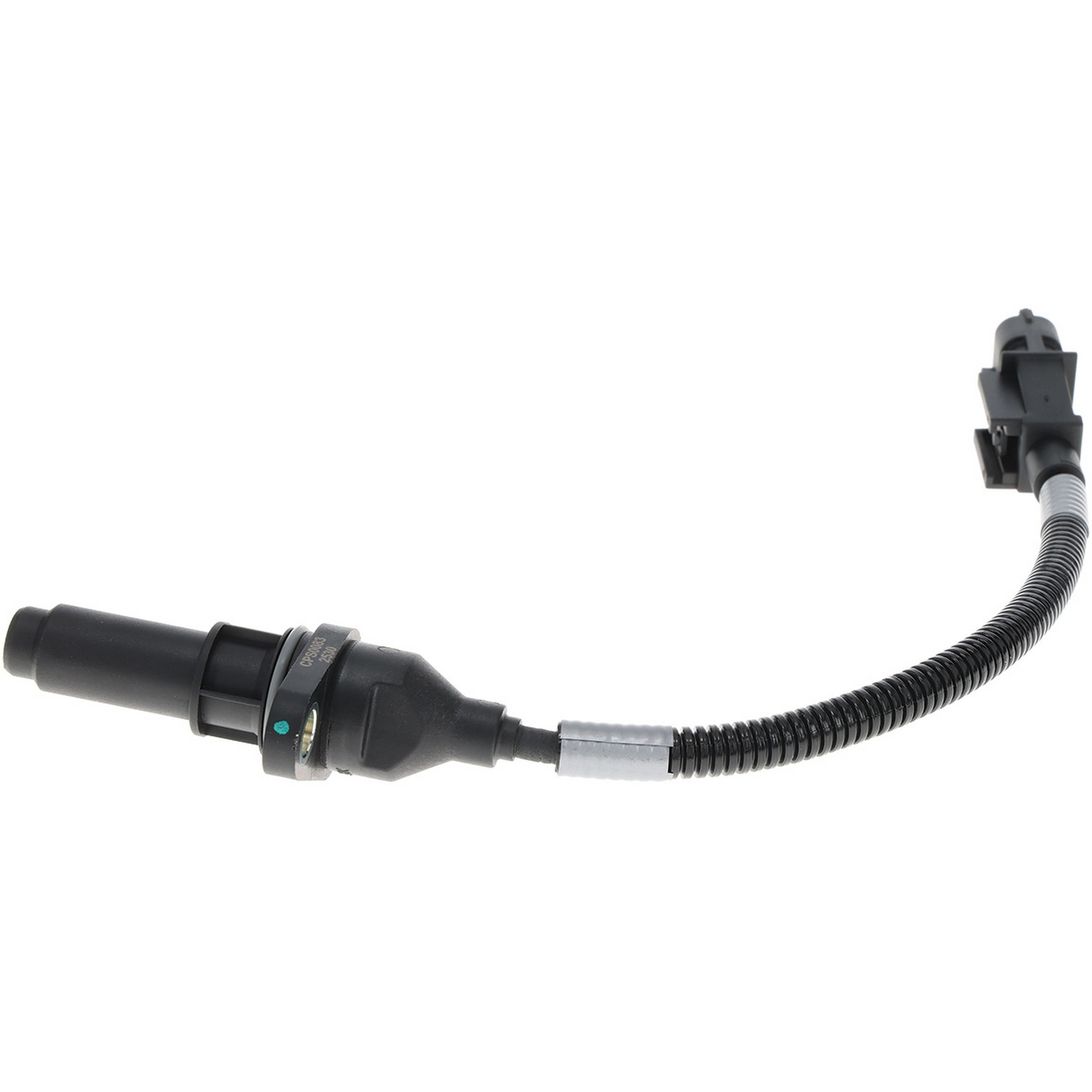 View 4