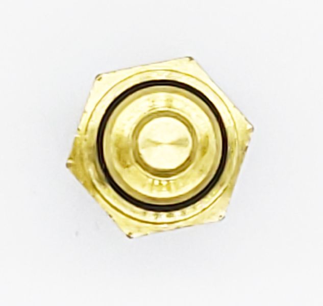 2006-2020 Ford Fusion Engine Coolant Temperature Sensor (Holstein)