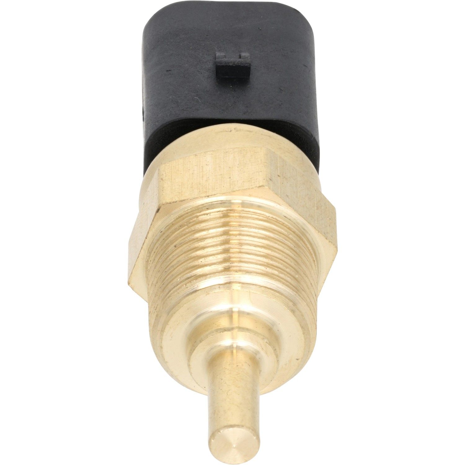 View 4