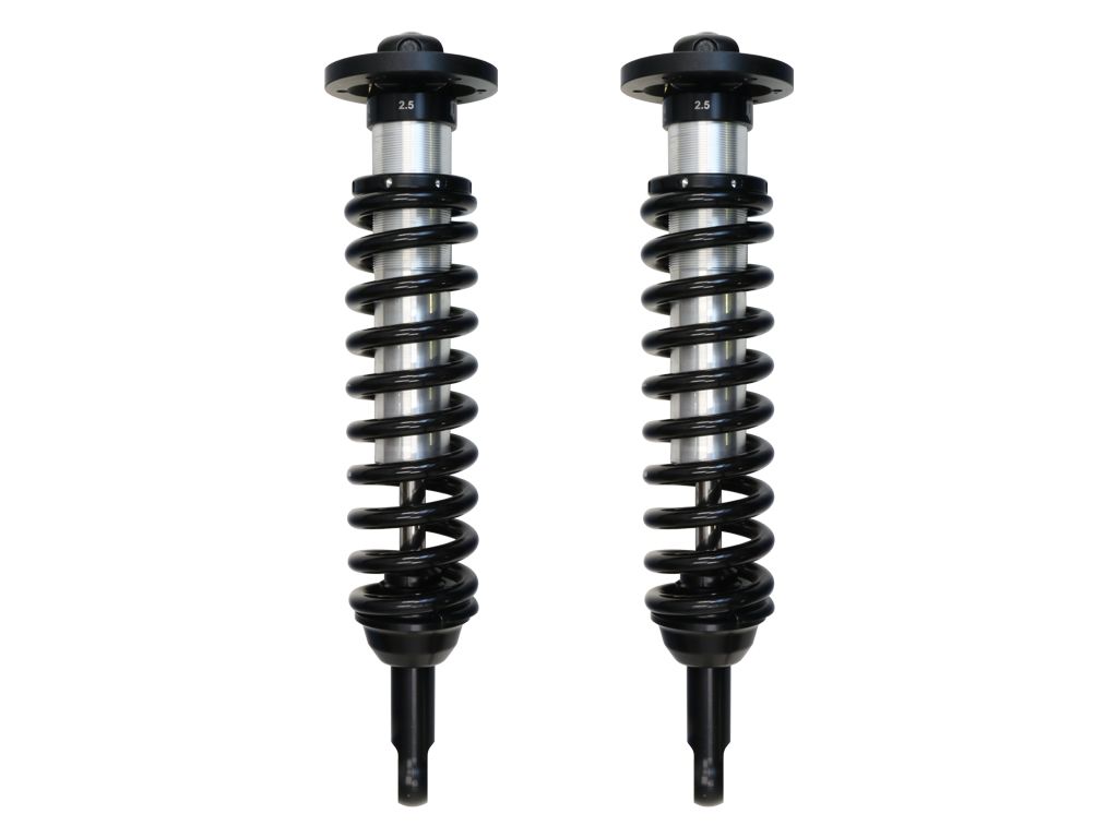 2008, 2007, 2006, 2005, 2004 Ford F-150 Coilover Spring and Shock Assembly