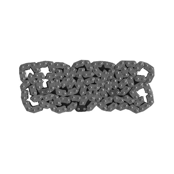 2003-2009 Toyota 4Runner Engine Timing Chain (INA)