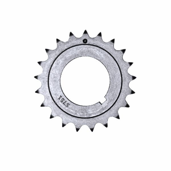 2001-2006 BMW X5 Engine Oil Pump Chain (INA)