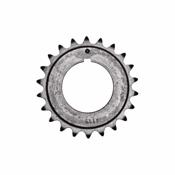 2015-2016 BMW X3 Engine Timing Chain (INA)