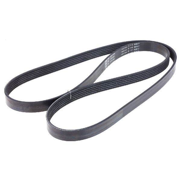 2010-2012 Audi Q5 Serpentine Belt - Alternator (INA)