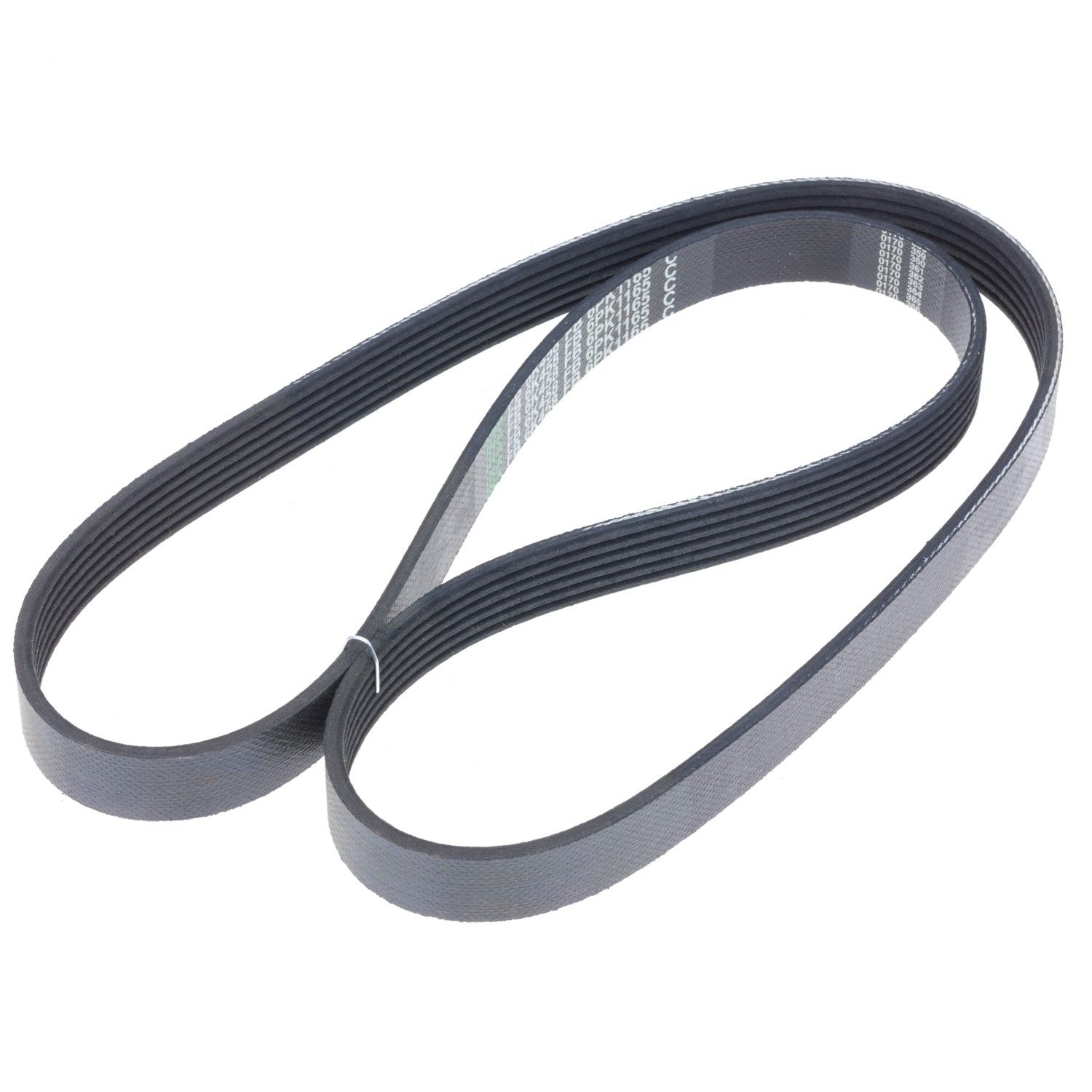 Serpentine Belt