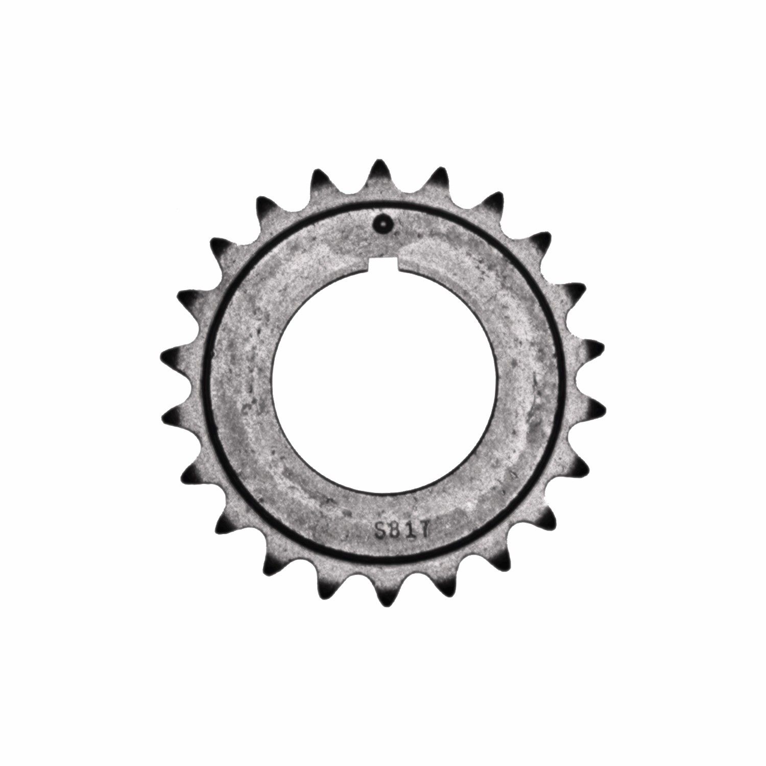 2016, 2015 BMW X3 Engine Timing Chain
