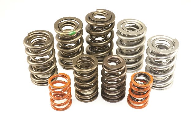 1998-2002 Pontiac Firebird Engine Valve Spring Kit (Isky Racing Cams)