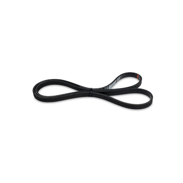 2006-2011 Honda Civic Serpentine Belt (Kraftwerks Performance Group)