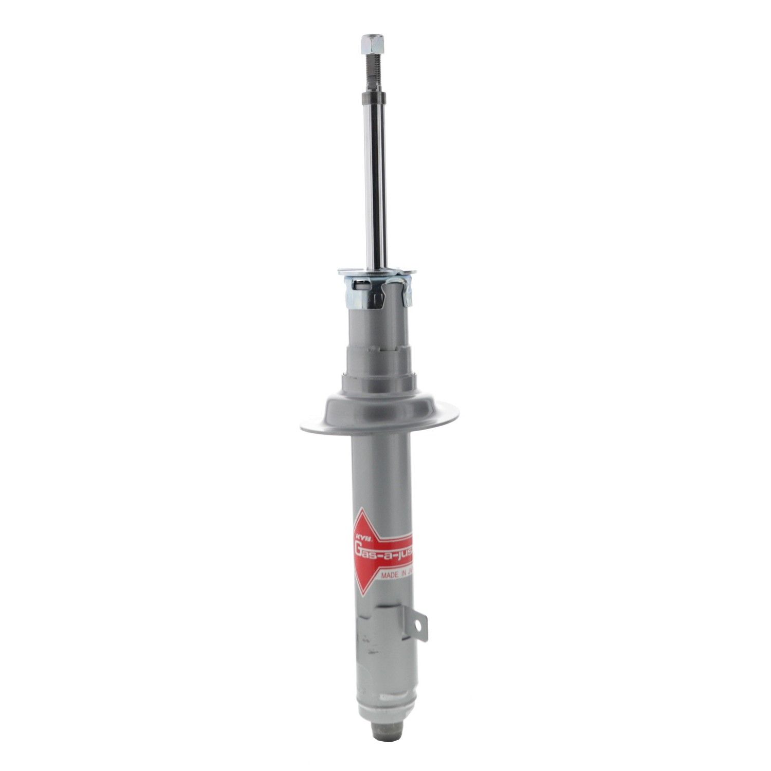 2011, 2010, 2009, 2008 Lexus GS350 Suspension Strut