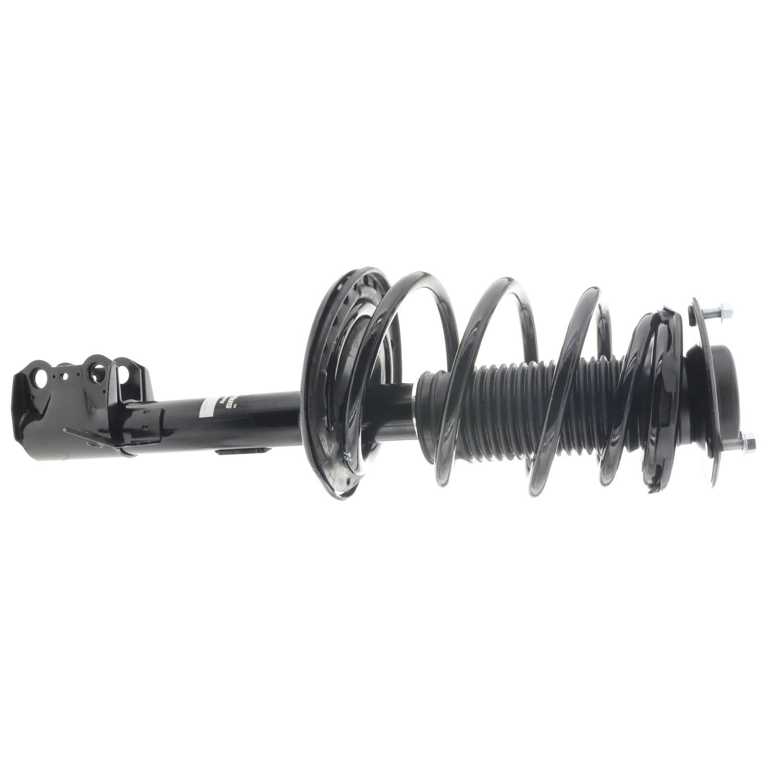 Suspension Strut and Coil Spring Assembly