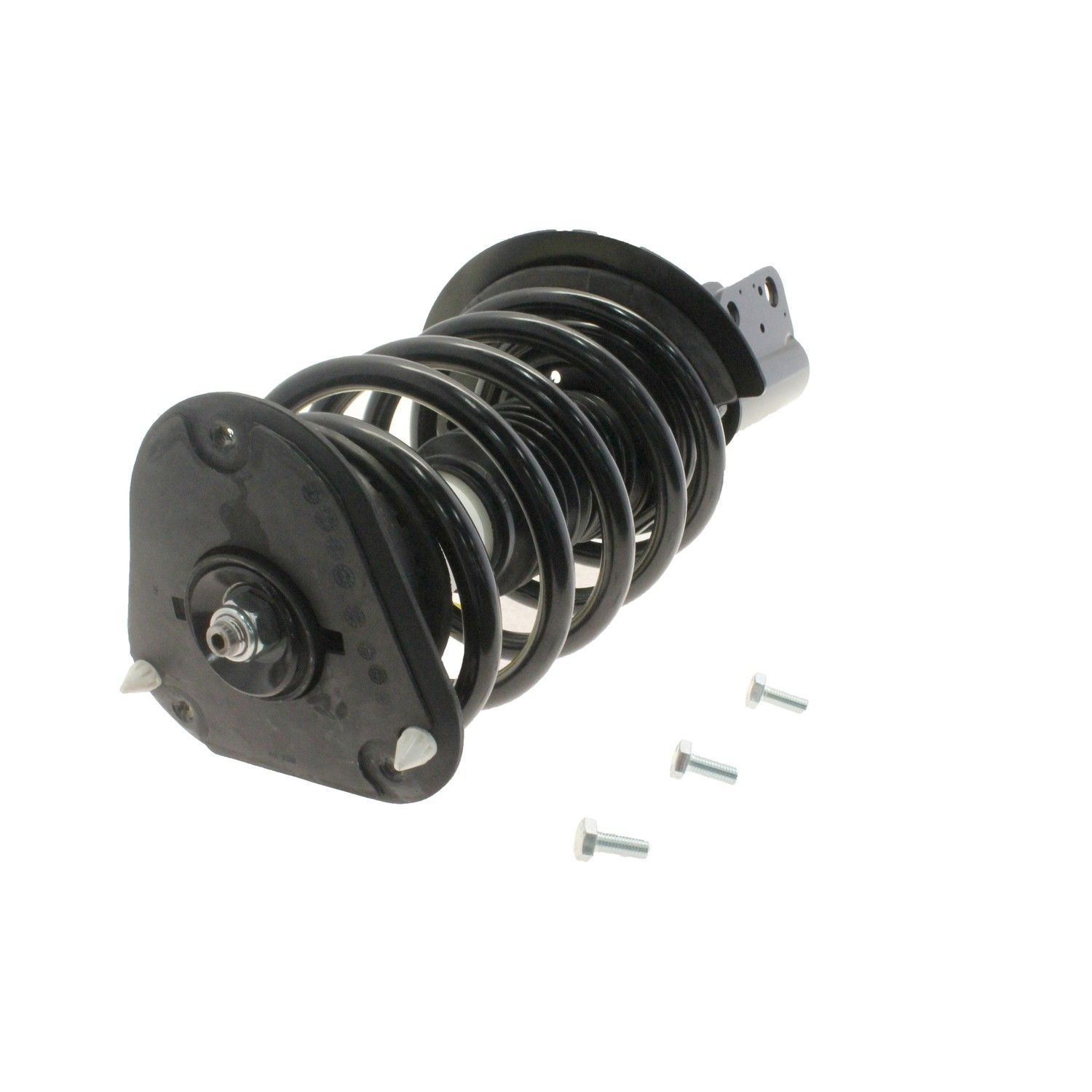 Suspension Strut and Coil Spring Assembly