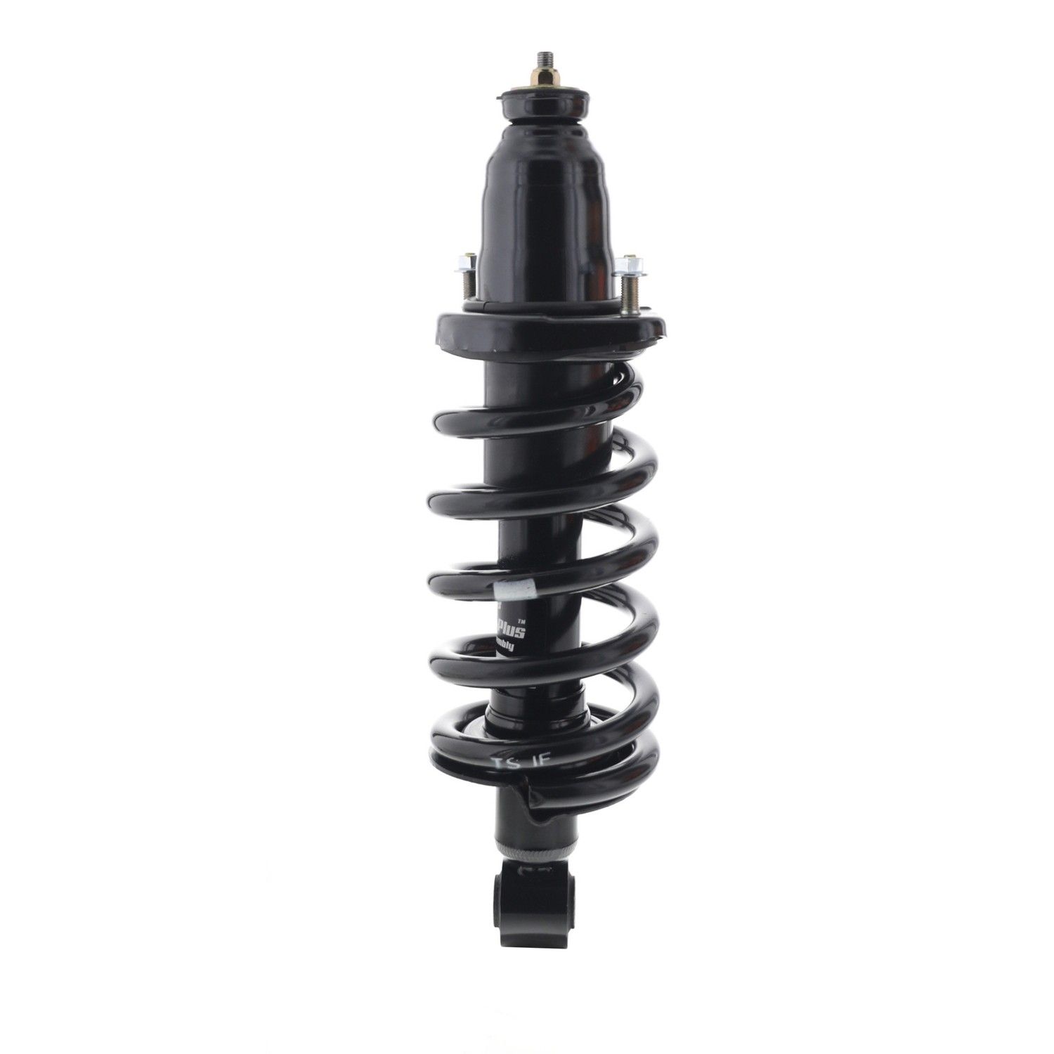 2011, 2010, 2009, 2008, 2007, 2006, 2005, 2004, 2003 Honda Element Suspension Strut and Coil Spring Assembly