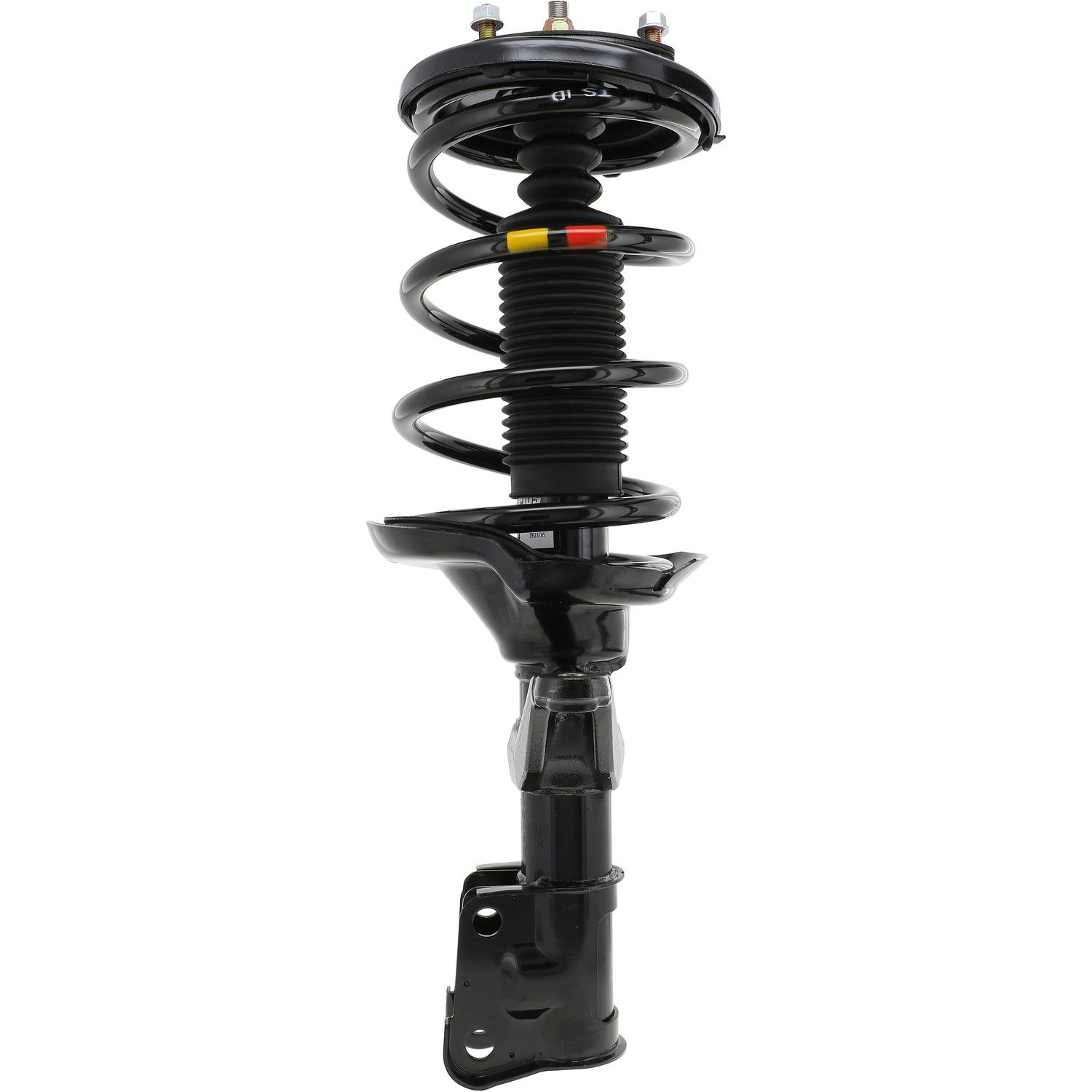 2011, 2010, 2009, 2008, 2007, 2006, 2005, 2004, 2003 Honda Element Suspension Strut and Coil Spring Assembly