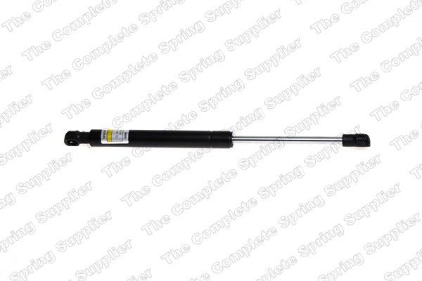 2006-2010 BMW 650i Hood Lift Support (Lesjofors)