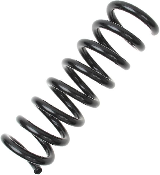 2003-2006 Mercedes-Benz E500 Coil Spring - Rear (Lesjofors)