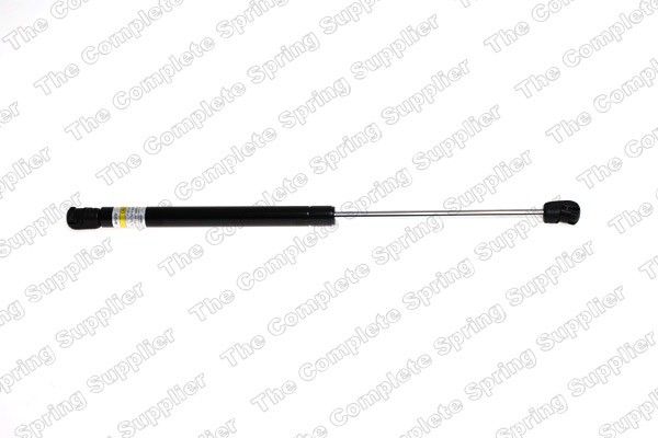 2008-2014 BMW X6 Hood Lift Support (Lesjofors)