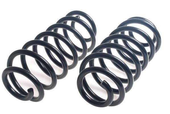 2001-2003 Jeep Grand Cherokee Coil Spring Set - Rear (Lesjofors)