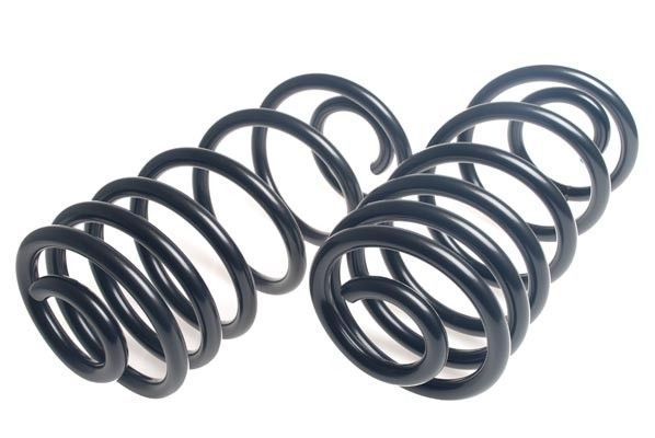 1985-1989 Buick LeSabre Coil Spring Set - Rear (Lesjofors)