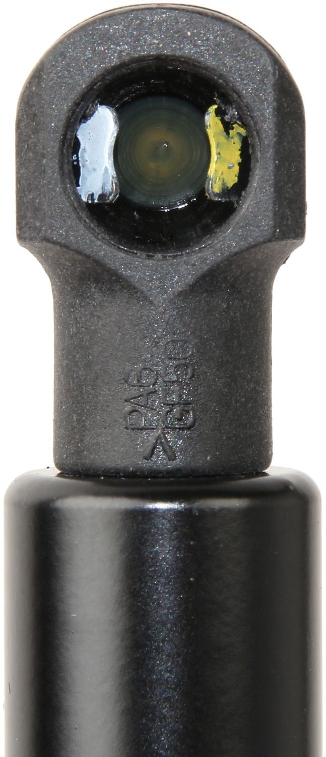 2014, 2013, 2012, 2011, 2010, 2009, 2008, 2007 Smart Fortwo Tailgate Lift Support