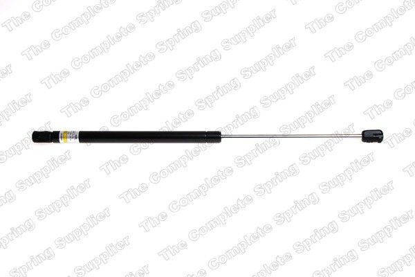 2010, 2009, 2008, 2007, 2006, 2005 Ford Focus Tailgate Lift Support
