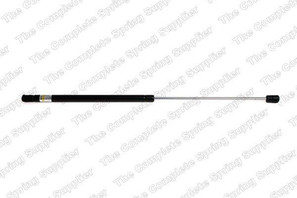 2007, 2006, 2005 Ford Focus Tailgate Lift Support