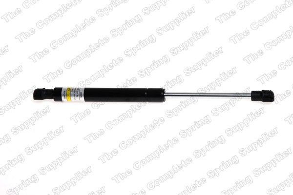 2004, 2003, 2002, 2001, 2000 Ford Focus Tailgate Lift Support