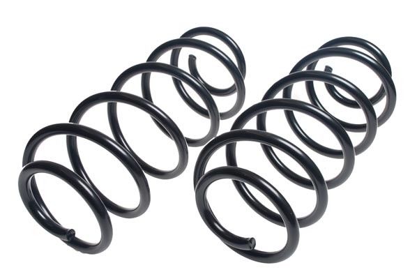1978, 1977, 1976 Ford LTD Coil Spring Set