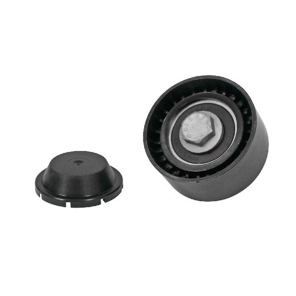 2004-2018 Porsche Cayenne Accessory Drive Belt Idler Pulley (Litens)