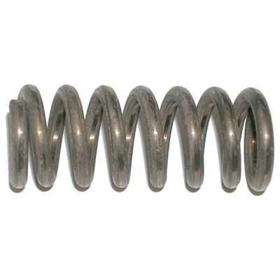 1970-1972 Chevrolet Monte Carlo Door Hinge Spring - Front Lower (LKQ)