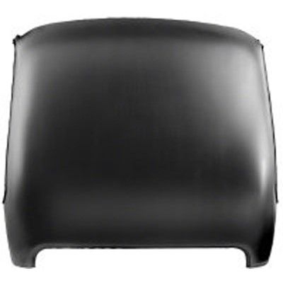 1969-1970 Ford Mustang Roof Panel (LKQ)