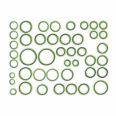 1996-2012 BMW M3 A/C System O-Ring and Gasket Kit (LKQ)