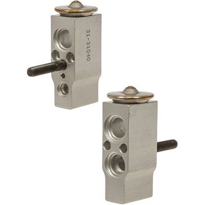 2009-2010 Dodge Ram 1500 A/C Expansion Valve (LKQ)