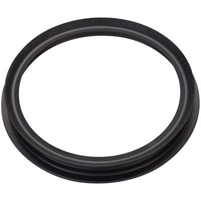2008, 2007, 2006, 2005, 2004, 2003, 2002 Mini Cooper Fuel Pump Tank Seal