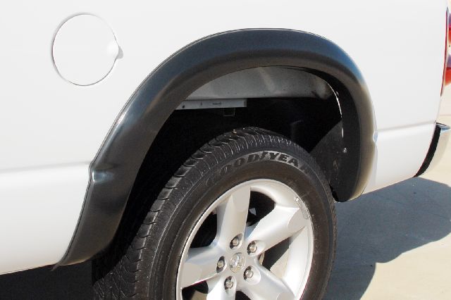 2002-2008 Dodge Ram 1500 Fender Flare (Lund)