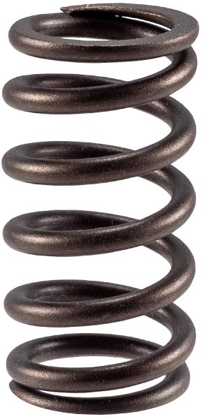 1978 Dodge Magnum Engine Valve Spring - Inner (Melling Select Performance)