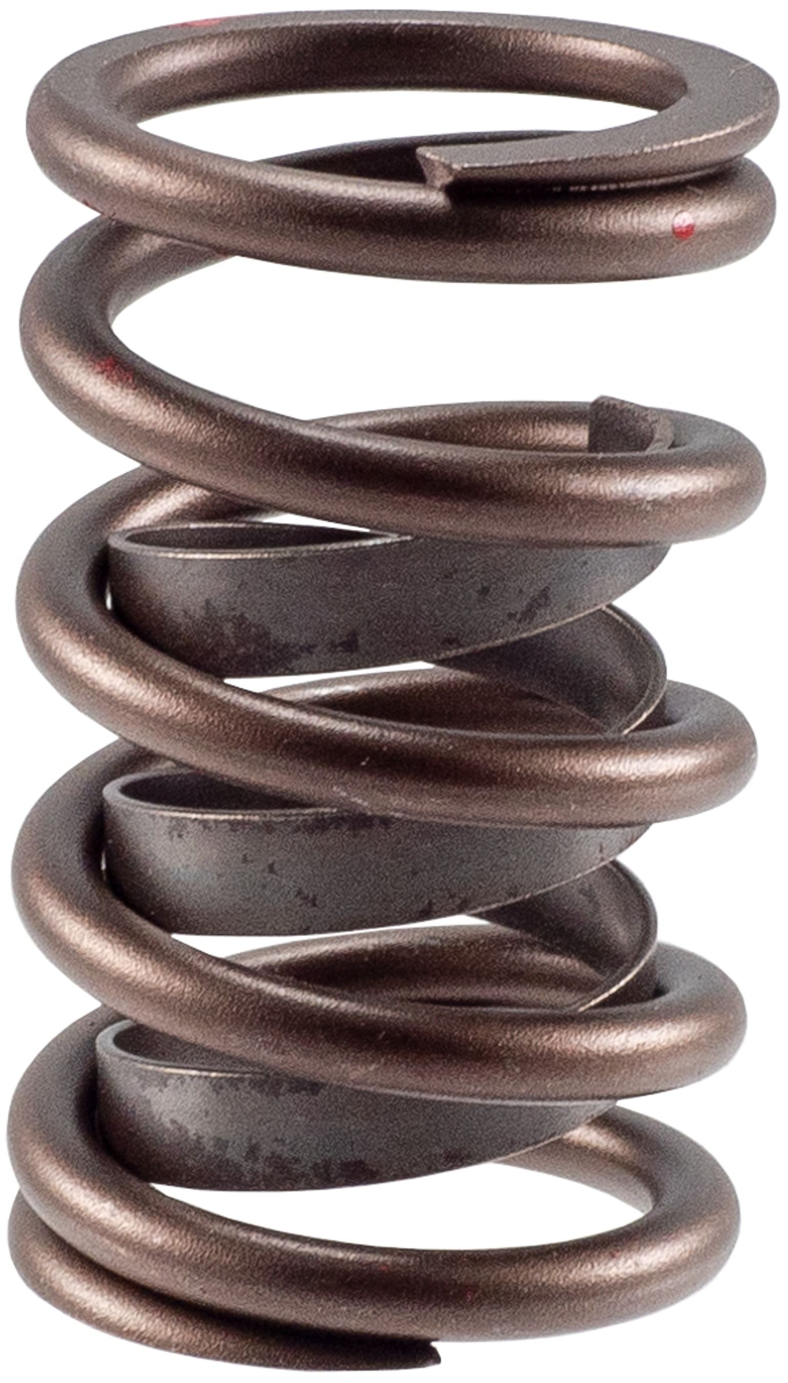 2001, 2000, 1999, 1998, 1997, 1996 Ford Explorer Engine Valve Spring