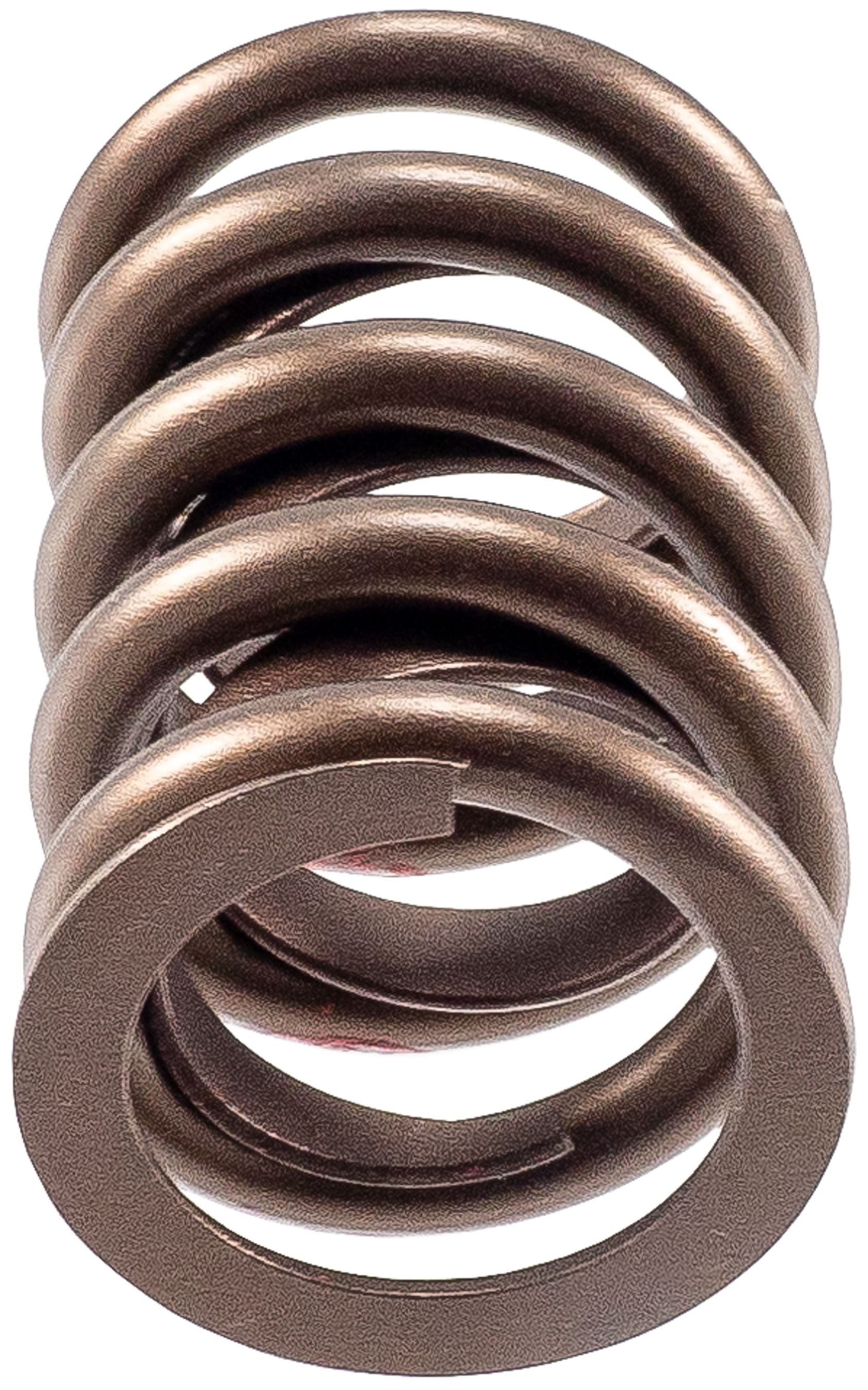 2003, 2002, 2001, 2000, 1999, 1998 Dodge Durango Engine Valve Spring