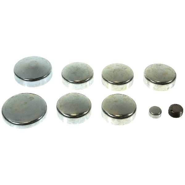 1982-1992 Buick Century Engine Expansion Plug Kit (Melling)