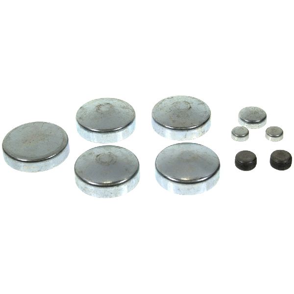 1979-1981 Buick Century Engine Expansion Plug Kit (Melling)