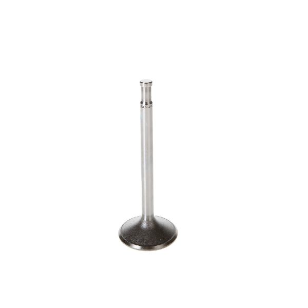 1968-1980 Buick LeSabre Engine Intake Valve (Melling)