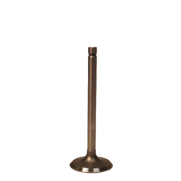 1996-2005 Chevrolet Express 2500 Engine Exhaust Valve (Melling)