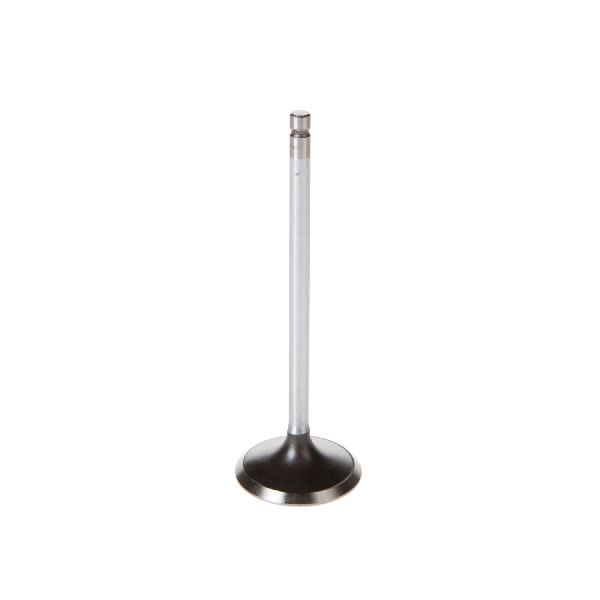 2004-2013 Mazda 3 Engine Intake Valve (Melling)