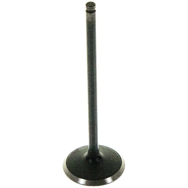 2013-2015 Acura ILX Engine Intake Valve (Melling)