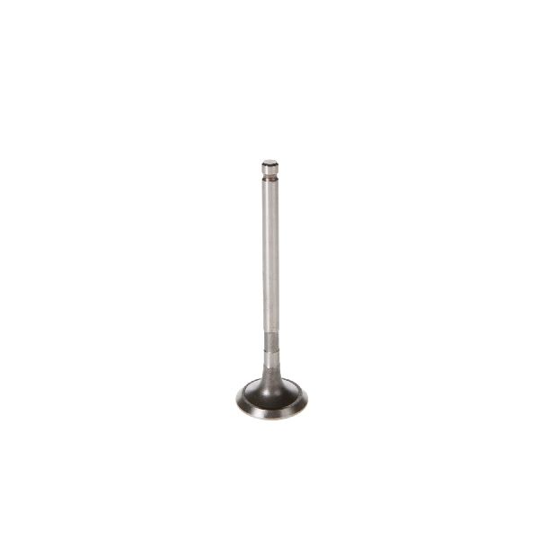 1995-1998 Toyota T100 Engine Exhaust Valve (Melling)
