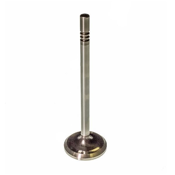 2001-2011 Lincoln Town Car Engine Exhaust Valve (Melling)