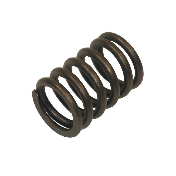 1978-1979 Dodge Magnum Engine Valve Spring (Melling)