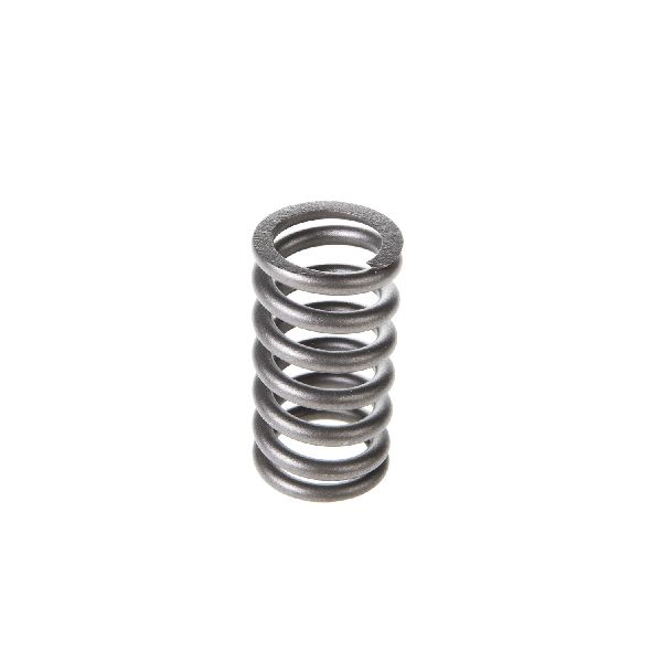 1973-1974 Buick Century Engine Valve Spring (Melling)
