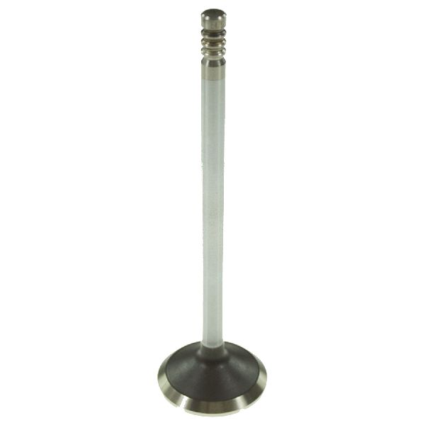 2000-2007 Dodge Caravan Engine Exhaust Valve (Melling)