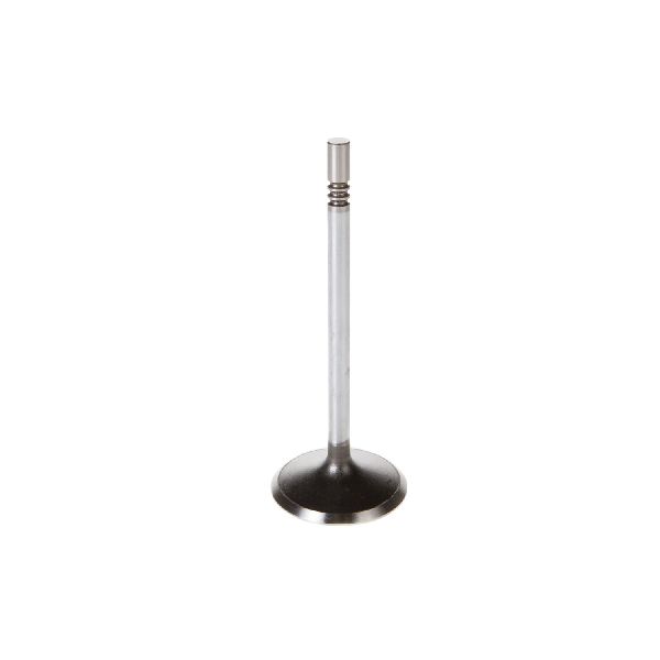 1992-2000 Lincoln Town Car Engine Intake Valve (Melling)